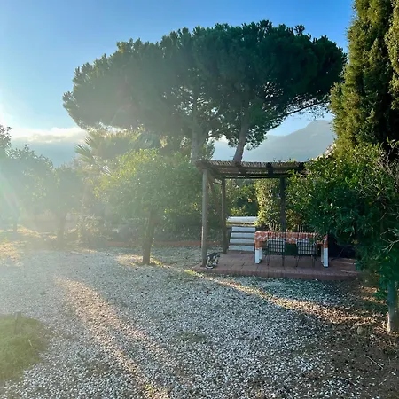 Casa Pipa Alhaurín el Grande - vrijstaande casita met privé zwembad en grote tuin-3